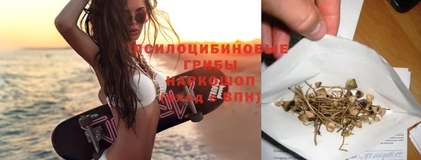 дмт Медвежьегорск