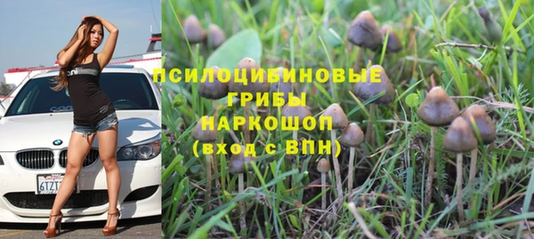 дурь Майский