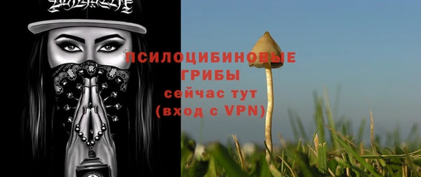 дурь Майский