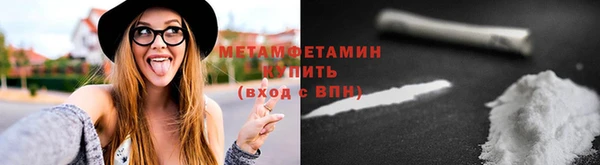 шишки Мегион