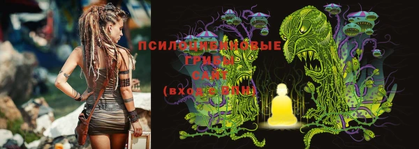 дурь Майский