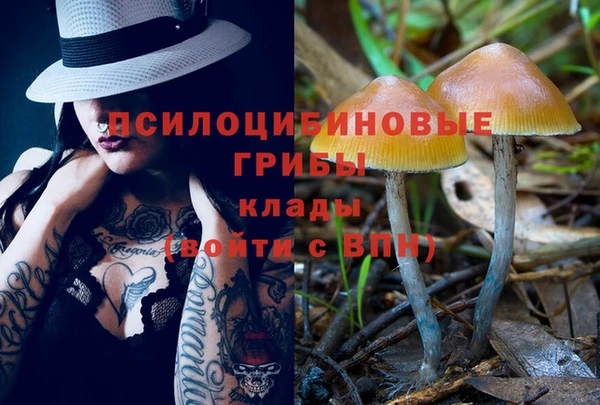 шишки Мегион