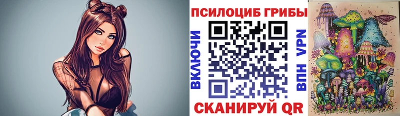 Псилоцибиновые грибы Cubensis  Купить  Зеленоградск 